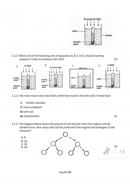 Grade 9 Natural Science June 2019 #grade9 #naturalscience #exams #pastyearpapers #fyp #trending #dontmesswithmyman #school #oldskool #tests #science