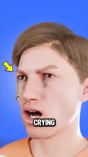 Why Do We Cry 😭