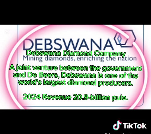 Major Companies in Botswana: Key Players and Revenue Insights