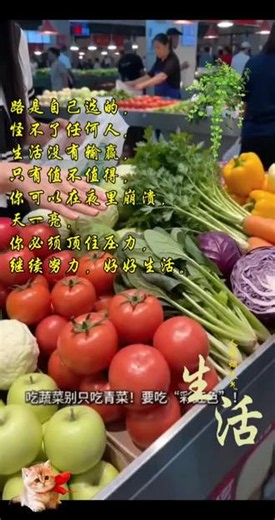 别单吃一种青菜啦！多种绿叶菜搭配着吃，风味各异营养均衡。做法简单家常，少油清淡易消化。家常餐桌添新意，日常食补，守护全家身体健康。