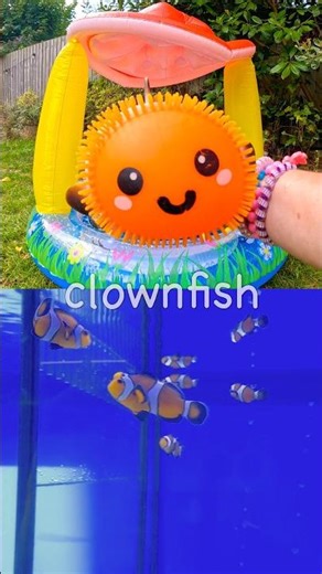 Sea Anima Names | Kids Learn: Shark Dolphin Pufferfish Whale Shark Clownfish #HolidaysWithYouTube