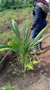 32K views · 88 reactions | Attention Nigerian Civil Servants: Secure...