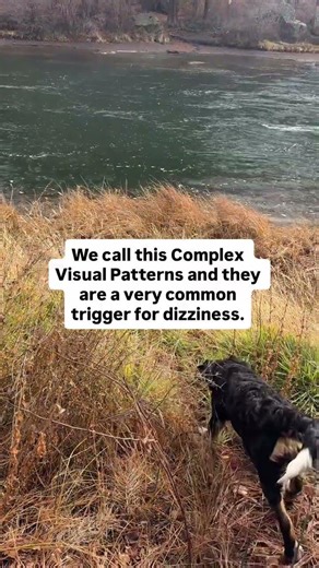 Complex Visual Patterns in PPPD