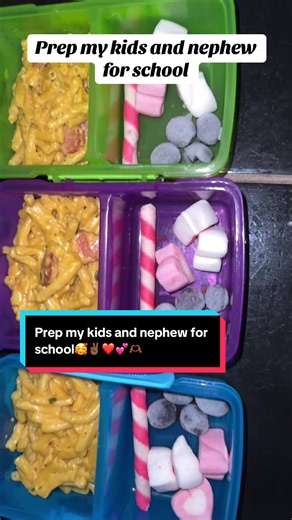 Prep My Kids and Nephew for School: Easy Lunchs & Morning Routine