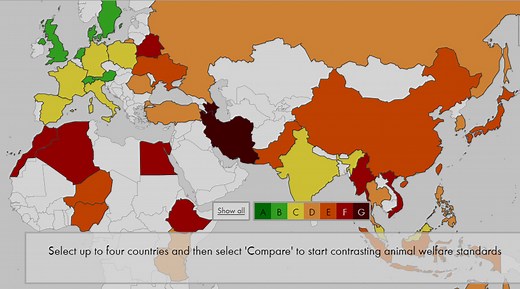 動物保護指数(API) 2020年　どの分野でも低い日本。