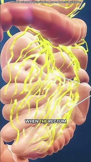 How food turns into poop?(3D animation)