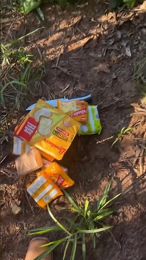 Boto Bc leaves food for Renato Garcia #renatogarciayt #botobc