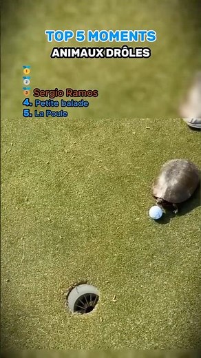 You won't believe what this turtle is doing! 🐢⛳️