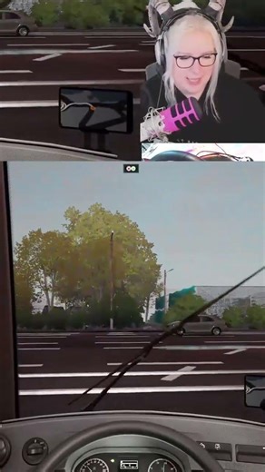 Bus Simulator 21 | I only touched the sign! | #das__mufflon on #Twitch