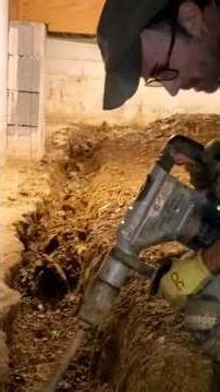 Crawl Space Encapsulation Training | Whether You Think I Can Help You Or Not, You're Right