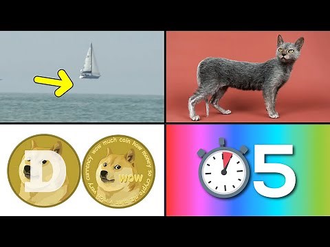 30 Things You Didn't Know 5 Minutes Ago ⏰ [50]