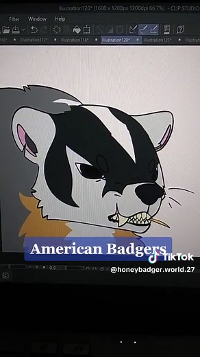 Badgers: A Comparison of American, European, and Honey Badgers