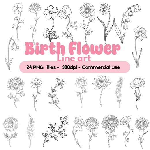Birth Flower Line Art Bundle PNG, Monthly Floral Outline Clipart, Botanical Drawing Set, Minimal Flower PNG, Commercial Use - Etsy