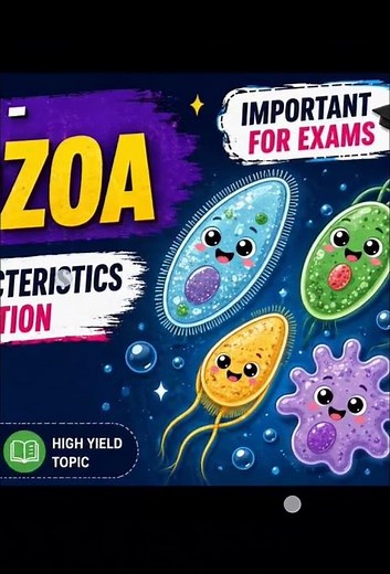 Phylum Protozoa ( General characteristics and classification)