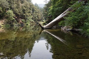 The Secret Life of a Raindrop | KQED