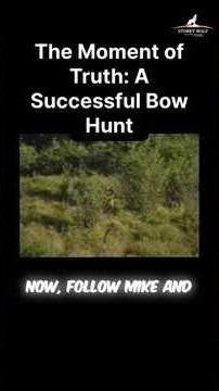 Classic Elk Hunt: A Successful Bow Hunt with Mike Lapinski