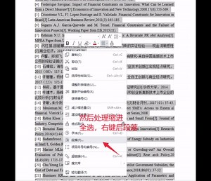 参考文献自动生成，自动编号及格式调整