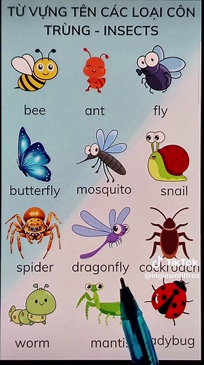 📚 Do you want to learn English fast and easily? You're in the right place! 💪 Watch my short lessons every week and improve your English step by step. Join our community of learners today and start speaking confidently! 🌍✨ Don’t forget to follow for more exclusive lessons 🔥 #learnenglish #englishforyou #englishlesson #englishteacher #englishlearning