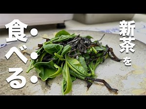 新茶を食べる？！生葉を使った簡単料理！
