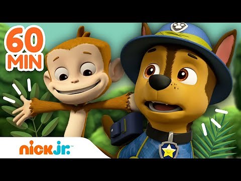 PAW Patrol | Aventuras y rescates ANIMALES de PAW Patrol 🐯 | Compilación de 60 minutos | Nick Jr.
