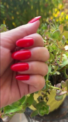 ASMR Red Nails Scratching & Tapping (No Talking) #satisfying
