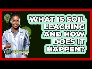 What Is Soil Leaching And How Does It Happen? - Earth Science Answers