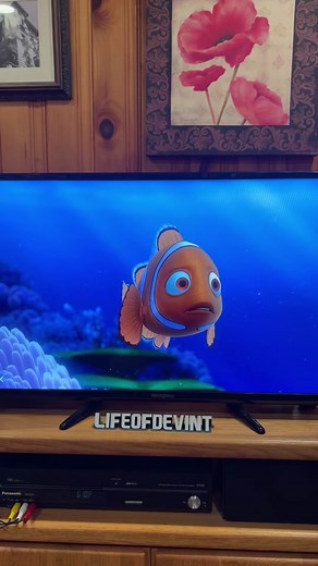 Interesting Clownfish Behavior Revealed in Finding Nemo Movie Facts