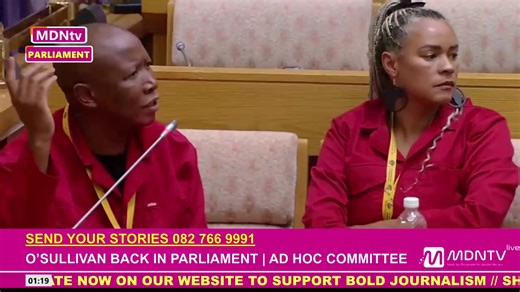 Julius Malema tells Ashley Sauls that Paul O'Sullivan “cannot be a hero” after walking out of proceedings without the chairperson’s permission. | MDN News