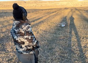 Steve Conroy on Reels