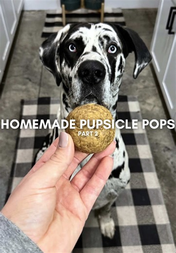 Homemade Pupsicle Recipe for Dogs