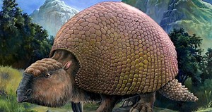 This Prehistoric Armadillo Was So Big That Early Humans Used Its Shells For Shelters