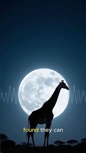 The Truth About Giraffe Sounds 🦒🤯