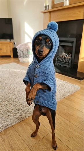 ALBINA on Instagram: "Не могу пройти мимо этого тренда. Не решилась делать видео с участием своего сыночки - присыночки, потому что он у меня очень серьезный человек в 3 года. Вырастит, захейтит еще свою мать за подобное. 😁 Рассказываю, как повторить : 1. Скачайте мое видео через Save Bot в телеграм 2. Перейдите в Syntx (ссылку оставлю в комментариях) 3. Выберите «видео будущего» - kling - далее загружаете видео, следом свое фото. 4. Нажмите «настроить» - “kling motion control.” 5. Выберите про