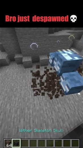 Minecraft Funny Moments: Wither !