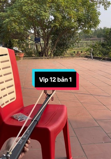 VIP 12 BẢN 1