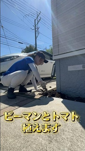 【成長記録】美味しい野菜を育てたい！ピーマンとトマトの苗を植えてみた