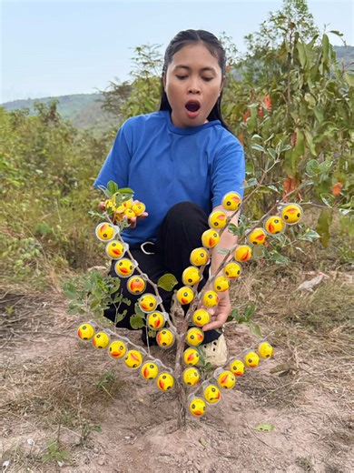 Creating Survival Candy in the Forest