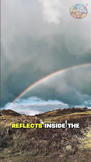 How Do Rainbows Form? The Amazing Science Explained!