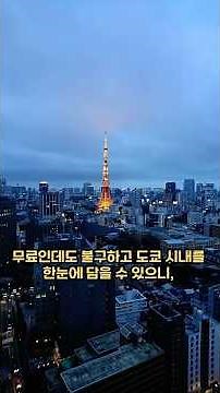 일본 자유여행 최신 가이드 (도쿄 4박5일 )