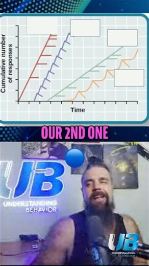 Can You Identify This Schedule in 3 Seconds?