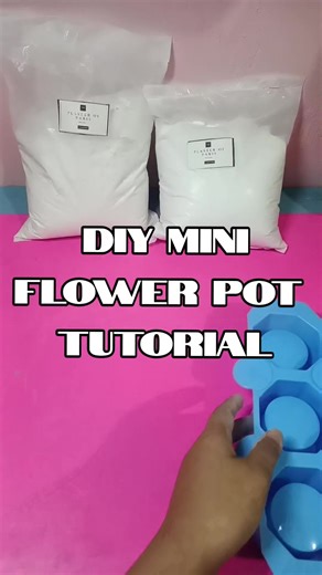 DIY Mini Flower Pot Tutorial Using Paris Plaster