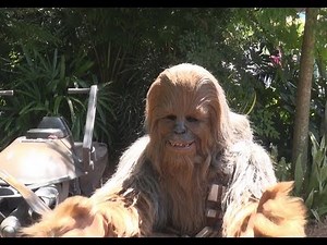 CHEWBACCA in the most ADORABLE child interaction Star Wars Weekends 2013 Disney's Hollywood Studios