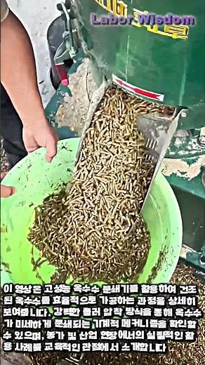 고효율 사료 펠릿 기계 작동 가이드 #worker #process #agriculture #pellet #farming