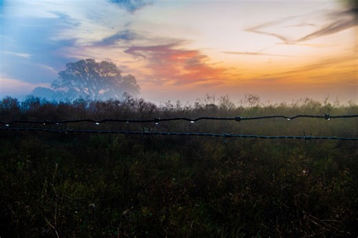 Police search for suspect in Hernando County, ask residents to stay inside