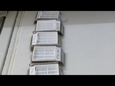 tissue processing 🧐