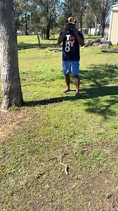 29K views · 764 reactions | Snakes  | Teitei to Tanoa Fiji | Facebook