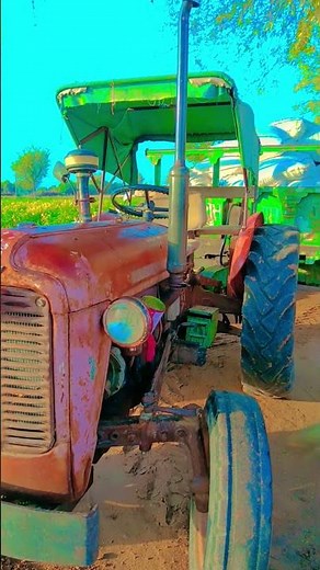 Morning harvest #design #nature #marwadilife #shorts