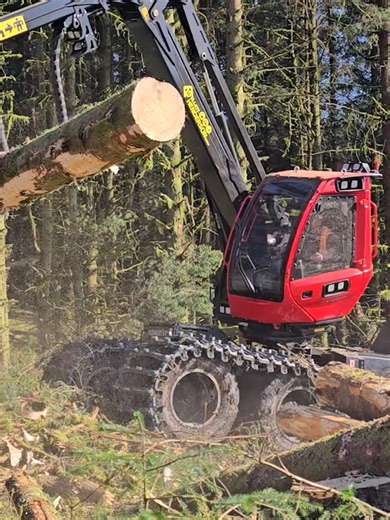 Exploring the Komatsu 951XC in the Woodcutter's Graveyard