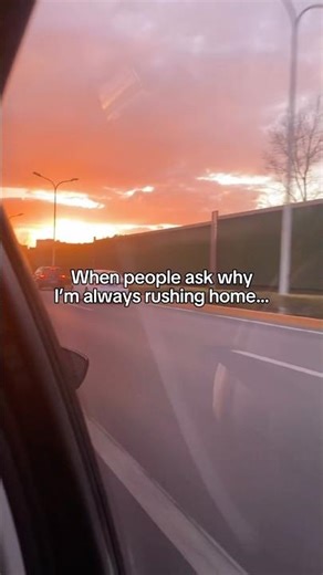 Country roads, take me home 🌅#family #home #horses #dog #trending #shorts #fyp #cutedog #pets