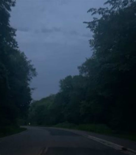 #genesis #grimes #songlyrics #fyp #xybca | genesis